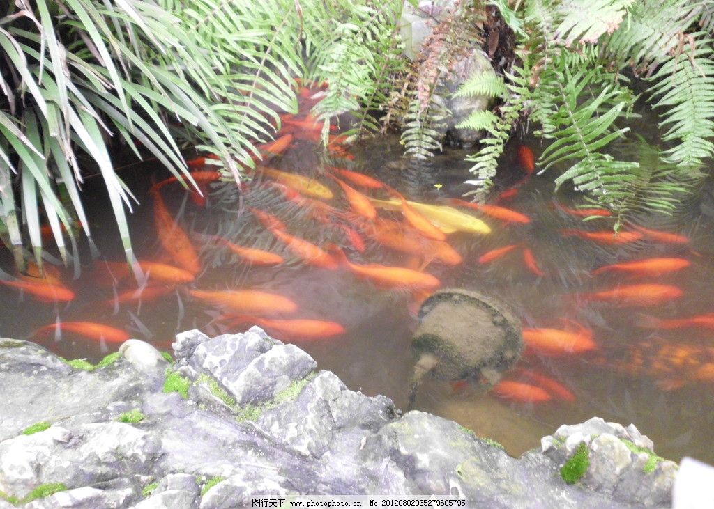 梦境之谜，解析梦见自己用小鱼网捉了好多鱼的深层含义