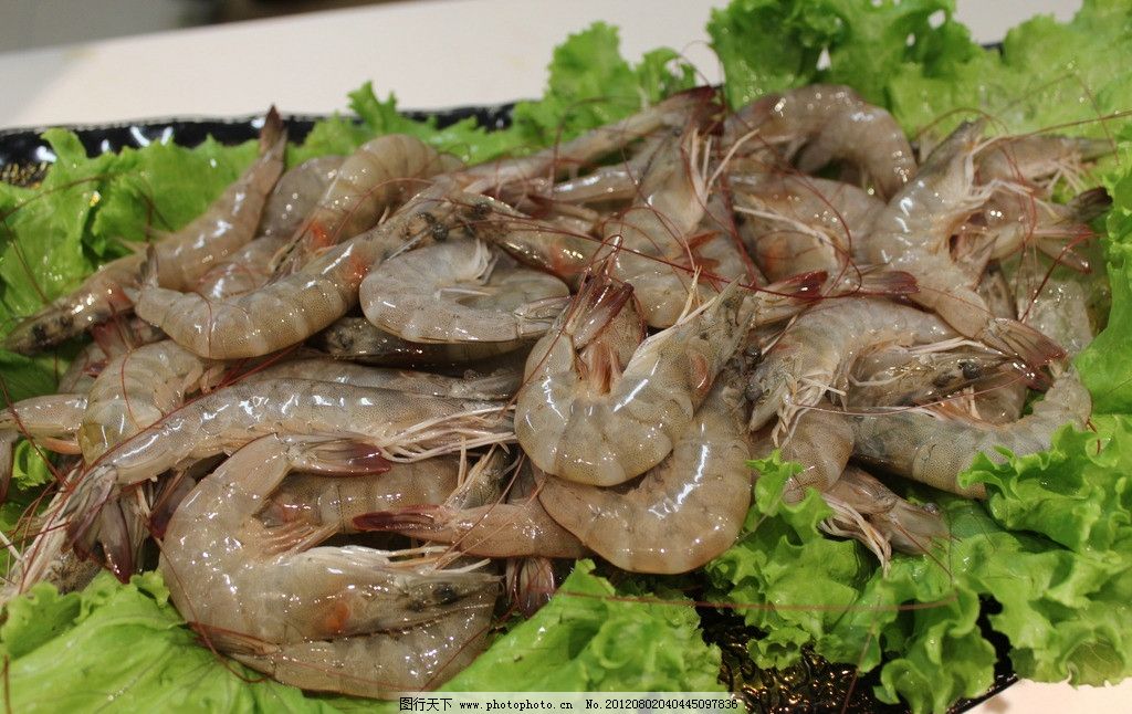 鲜虾图片,海鲜 大虾 海货 美食 食物 食物原料 餐
