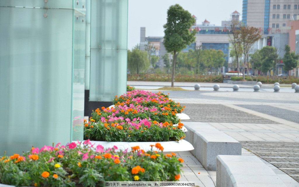 广场绿化 花盆 花池 市政广场 花圃花卉 景观绿化 园林建筑 建筑园林
