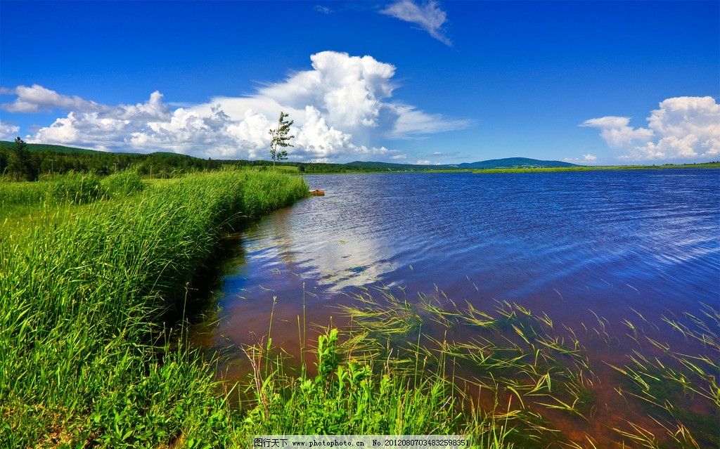 阳光明媚 湖岸边图片,蓝天 白云 水面 水草 自然风景-图行天下图库