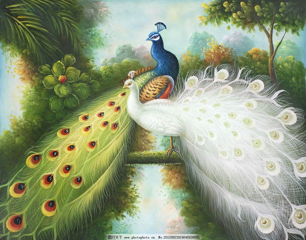 欧式白孔雀油画图片