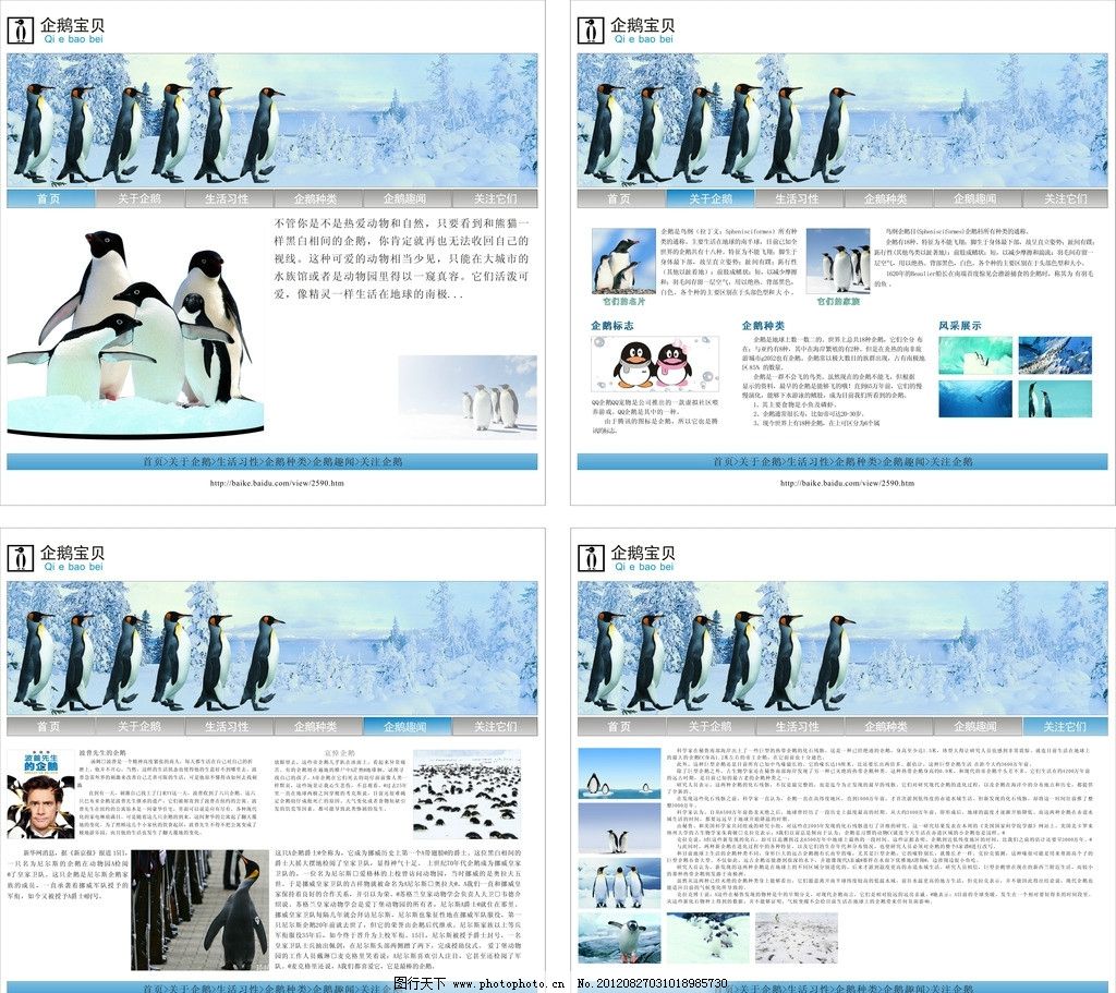 企鹅网站图片