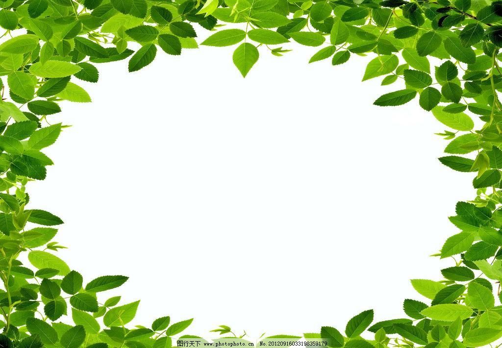 72DPI psd 背景 边框 大头贴 简单 简洁 绿色 绿叶 清新 绿色树叶相框素材下载 绿色树叶相框模板下载 绿色树叶相框 相框 绿色 背景 清新 简单 简洁 大头贴 圆形 树叶 绿叶 边框 自然 相框模板 摄影模板 源文件 72dpi psd psd源文件 婚纱|儿童写真|相册模板
