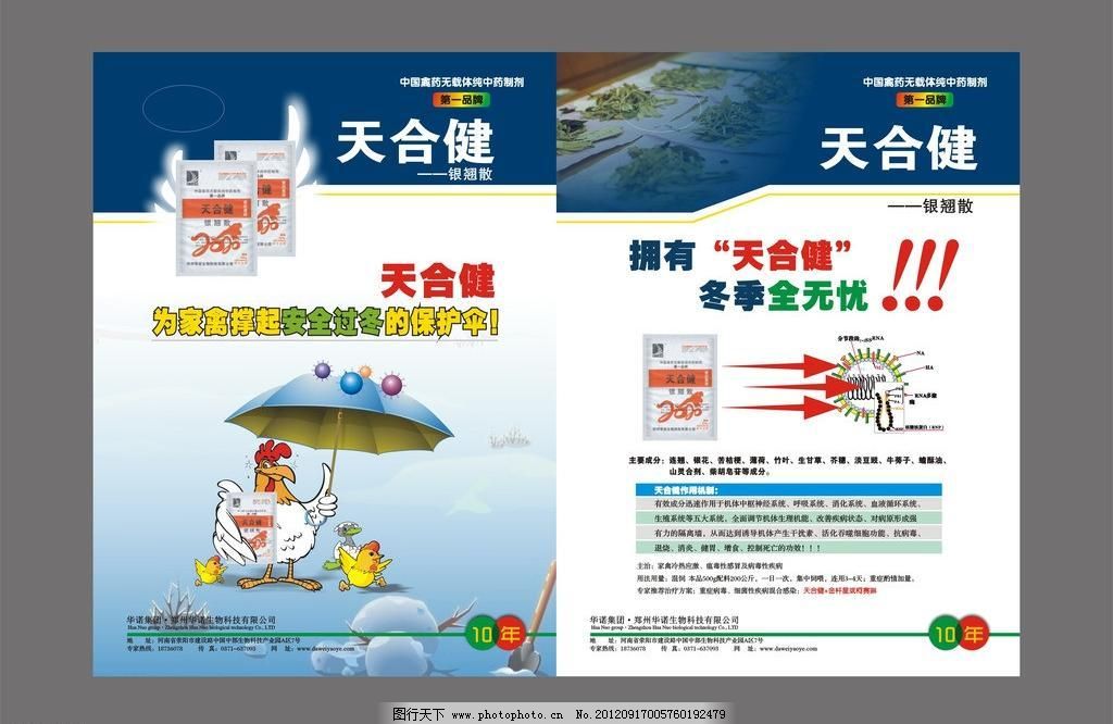 广告设计 海报设计 卡通鸡 产品宣传单页矢量素材 产品宣传单页模板下图片