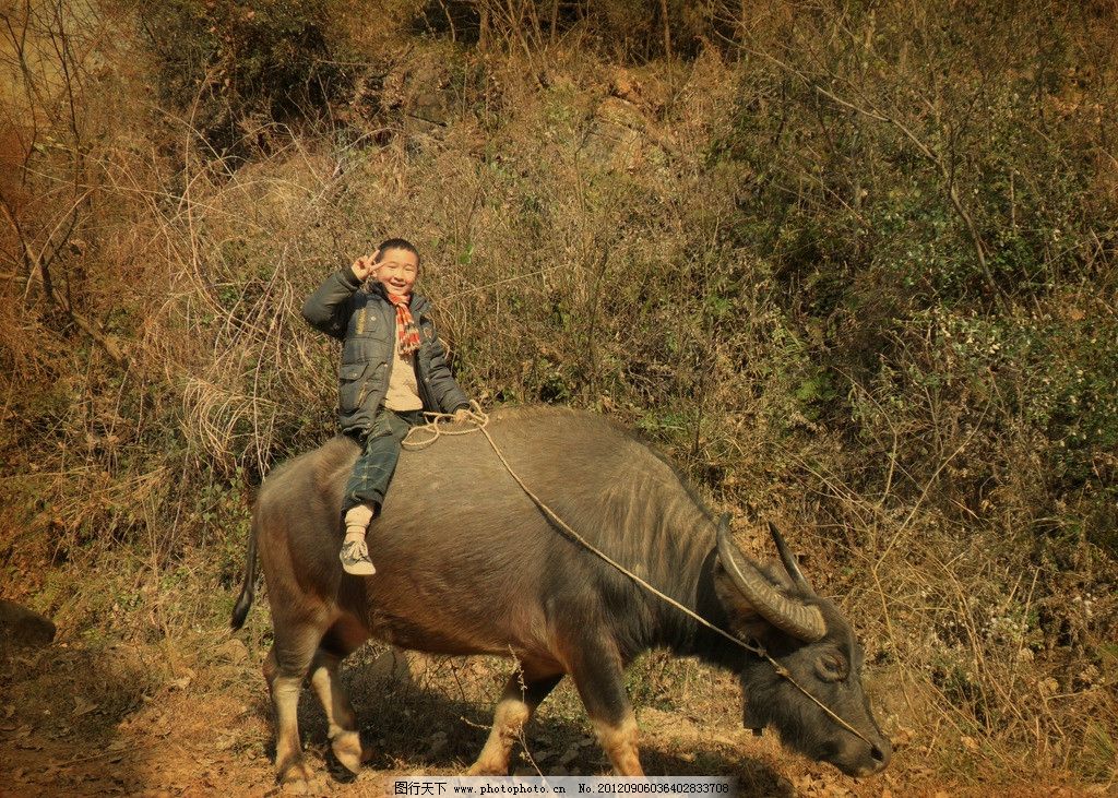一般都不需要多少加盟费洪武通宝,被面是牧童放牛,能卖多少钱,谢谢